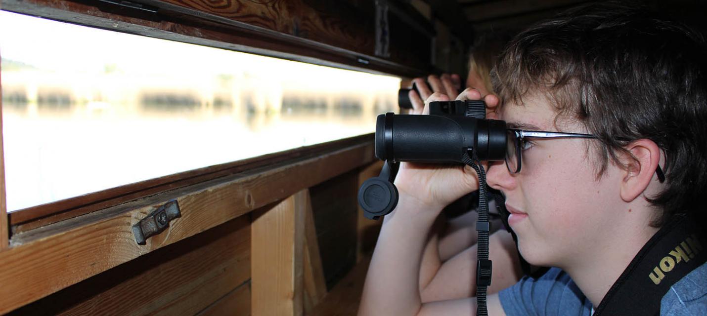 Beobachten BirdLife-Naturzentren